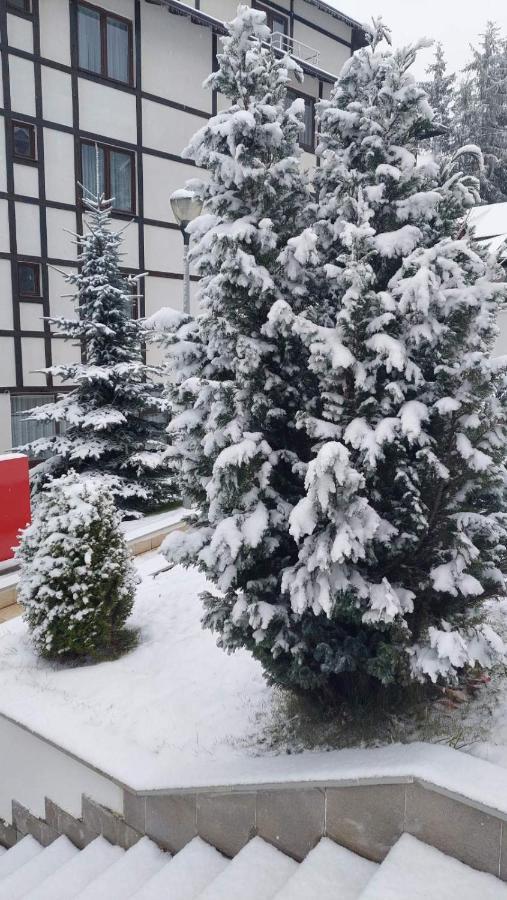 Falling Star Apartman Brzeće Exterior foto